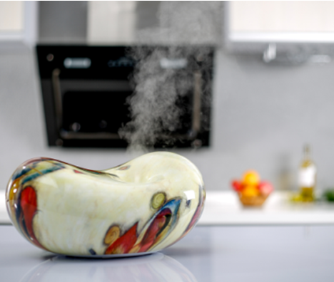 difuzor aroma camera